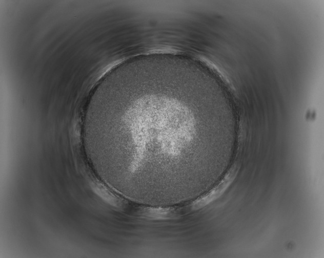 X0000100191401200806061247