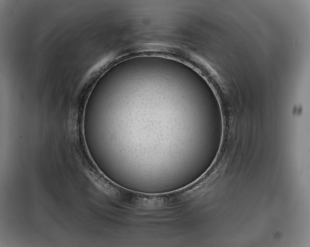 X0000100191403200806061247