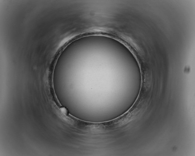 X0000100191404200806061247