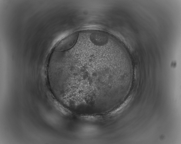 X0000100191405200806061247