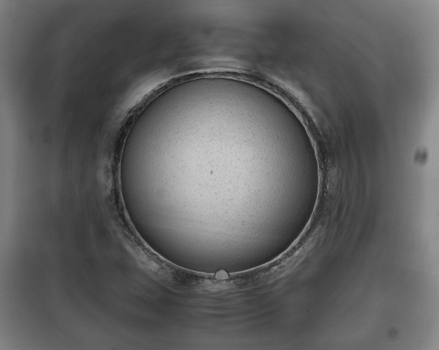 X0000100191407200806061247