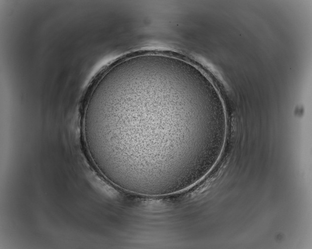 X0000100191408200806061247