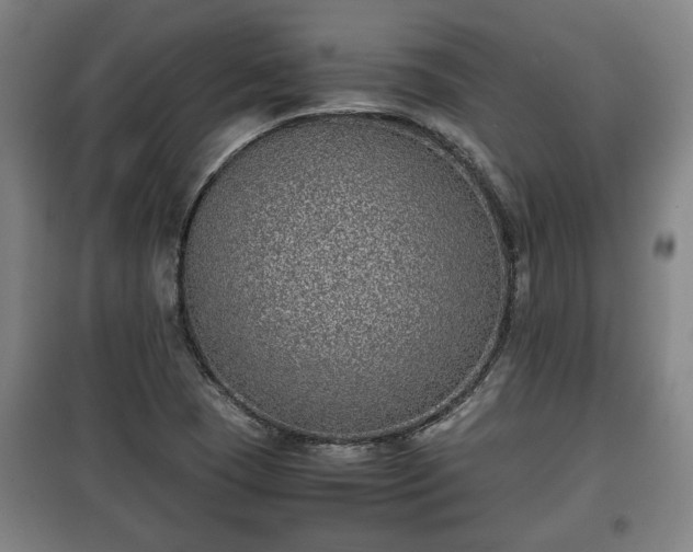 X0000100191409200806061248
