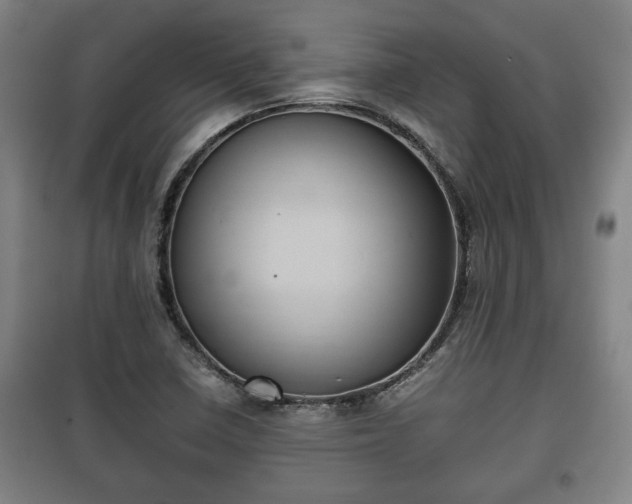 X0000100191410200806061248