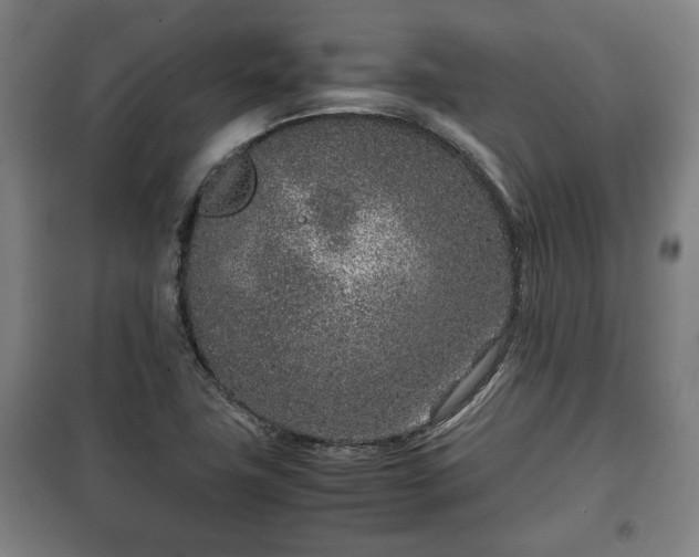 X0000100191411200806061248