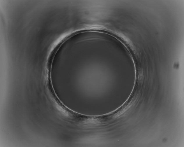 X0000100191414200806061248