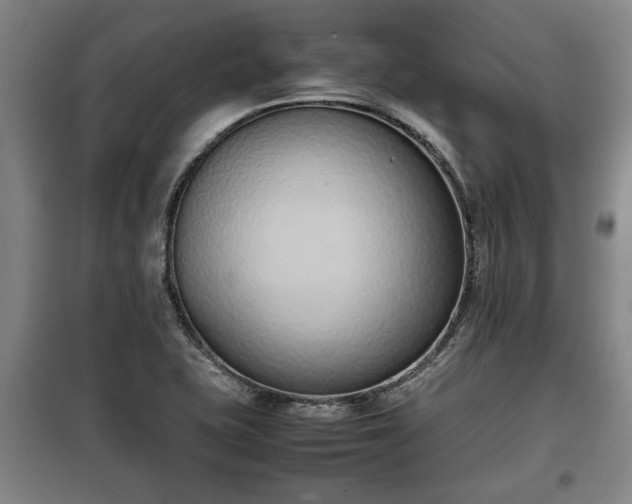 X0000100191415200806061248