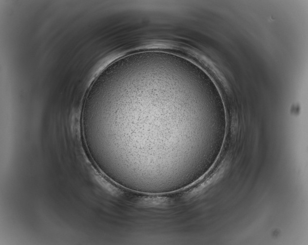 X0000100191417200806061248