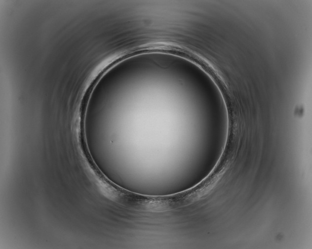 X0000100191418200806061248
