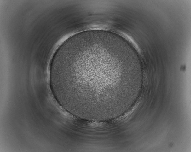 X0000100191419200806061248