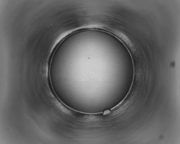 X0000100191420200806061248