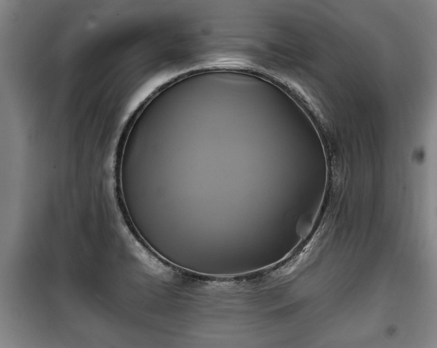 X0000100191422200806061248