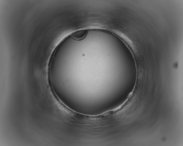 X0000100191423200806061248