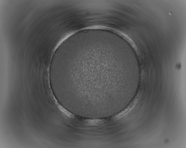 X0000100191425200806061248