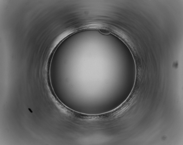 X0000100191426200806061248