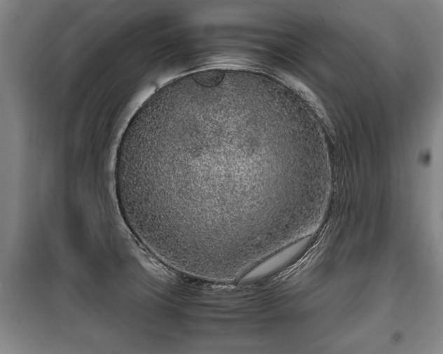 X0000100191427200806061248