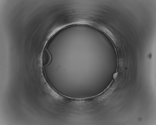 X0000100191428200806061248