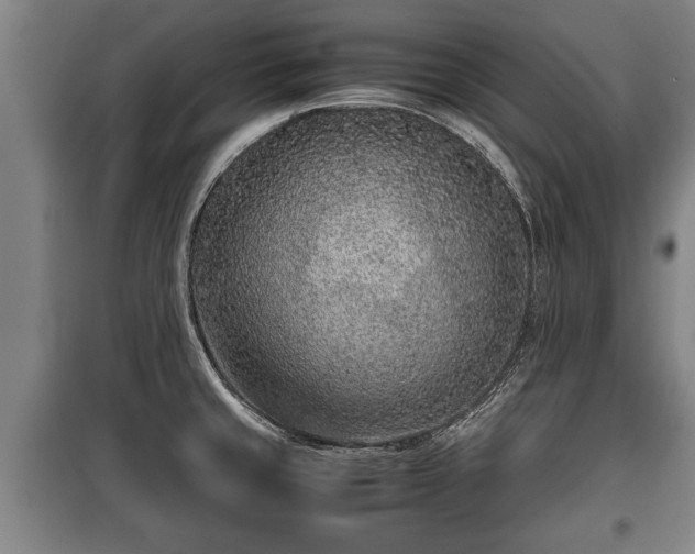 X0000100191429200806061248