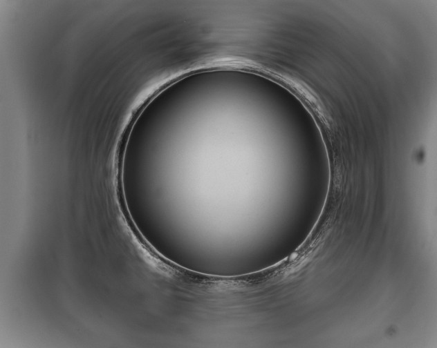 X0000100191430200806061248