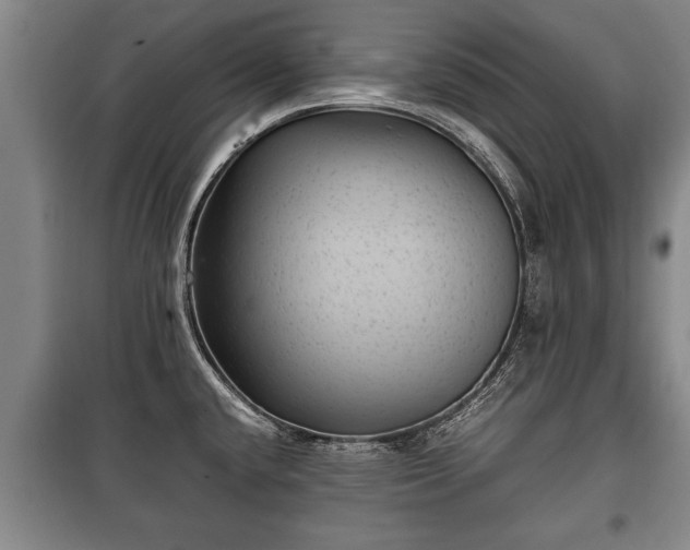 X0000100191432200806061248