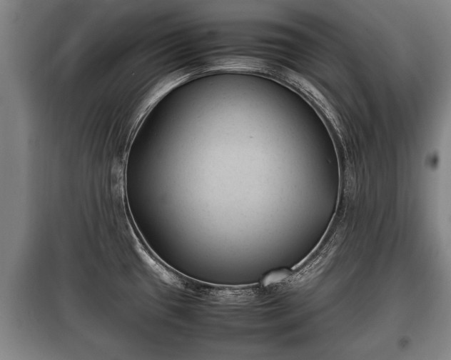 X0000100191433200806061248