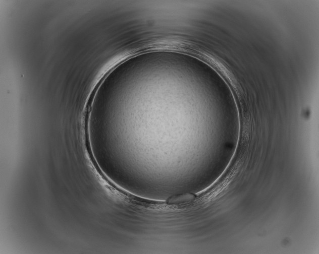 X0000100191434200806061248