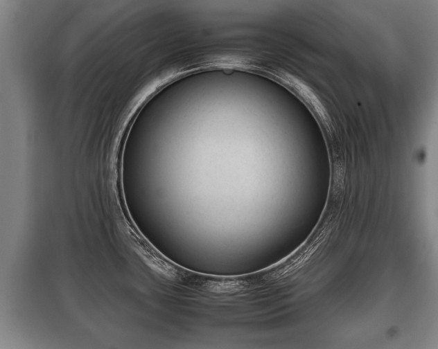 X0000100191435200806061248