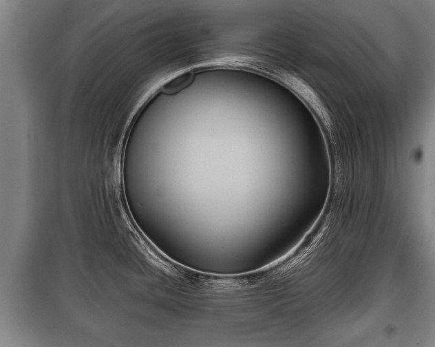 X0000100191436200806061248