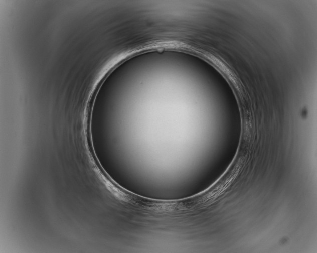 X0000100191438200806061248