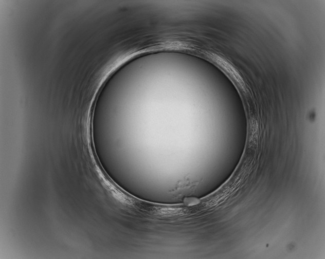 X0000100191439200806061248