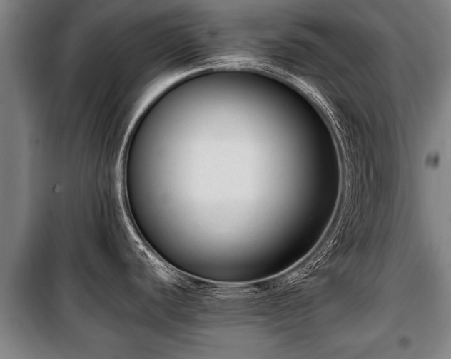 X0000100191440200806061248