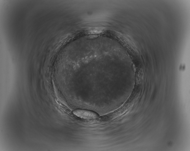 X0000100191441200806061247