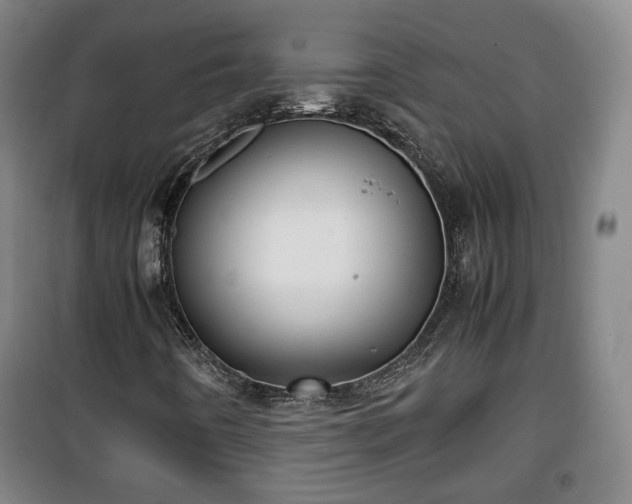 X0000100191442200806061247