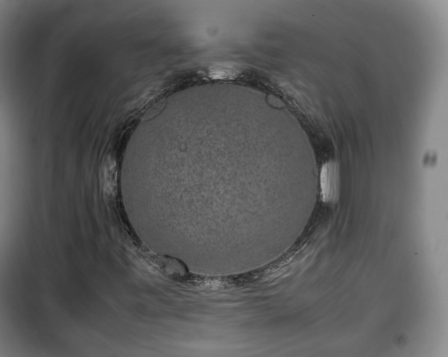 X0000100191443200806061247