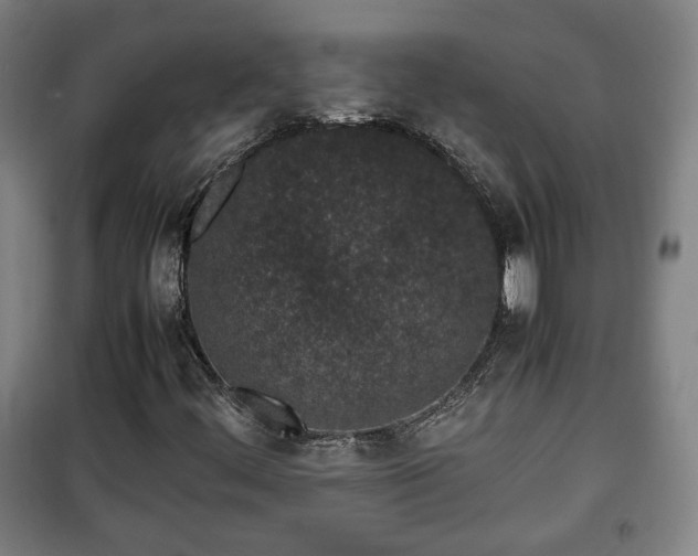 X0000100191444200806061247