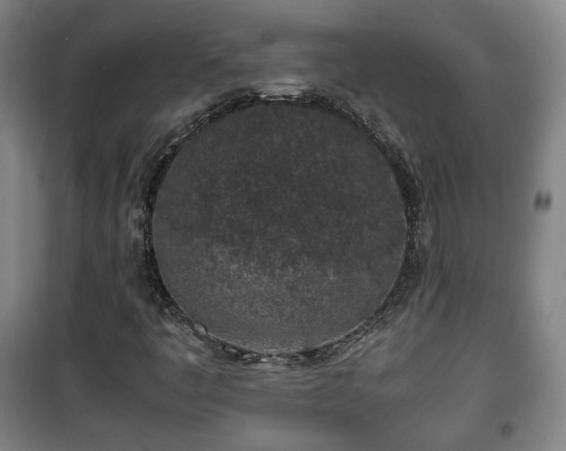 X0000100191445200806061247