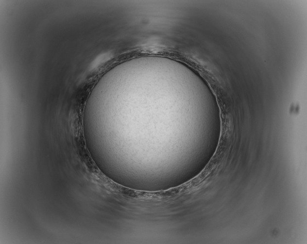 X0000100191446200806061247