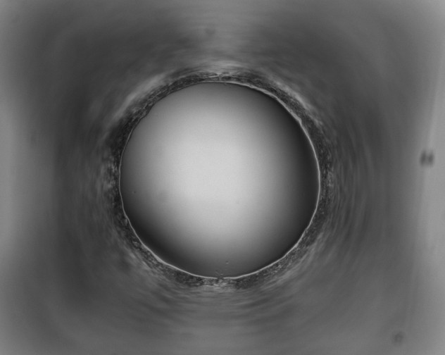 X0000100191447200806061247