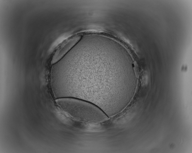 X0000100191448200806061247