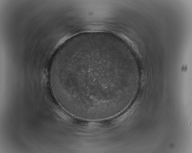 X0000100191449200806061247