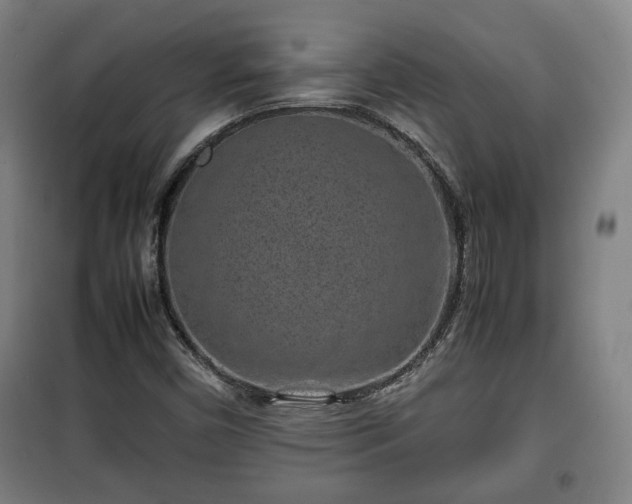 X0000100191450200806061247