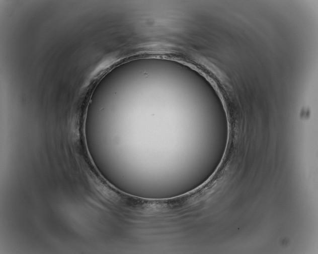 X0000100191451200806061247