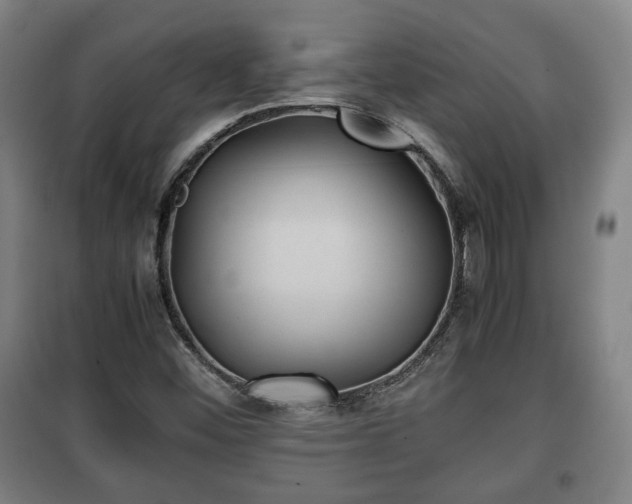 X0000100191452200806061247
