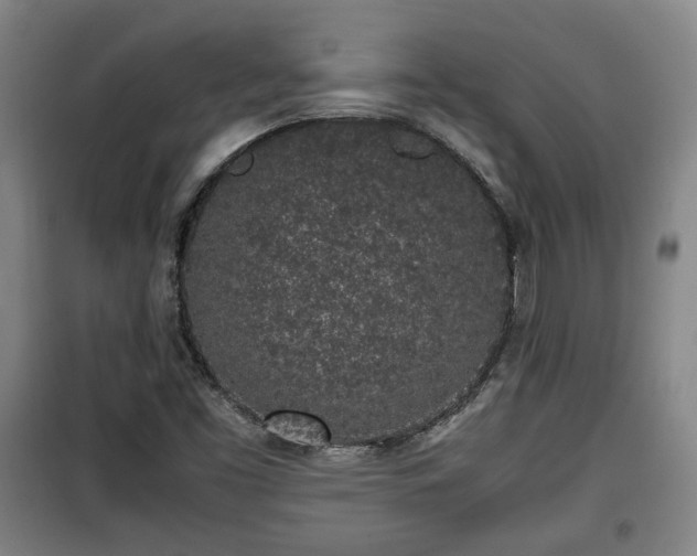 X0000100191453200806061247