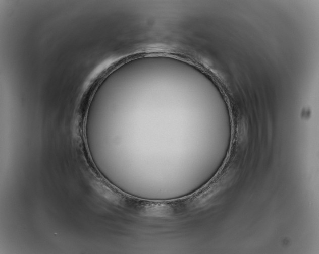 X0000100191454200806061247