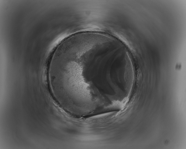 X0000100191455200806061247