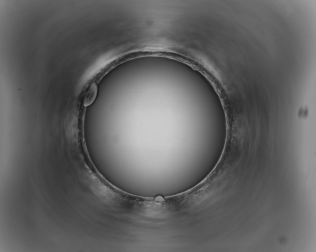 X0000100191456200806061247