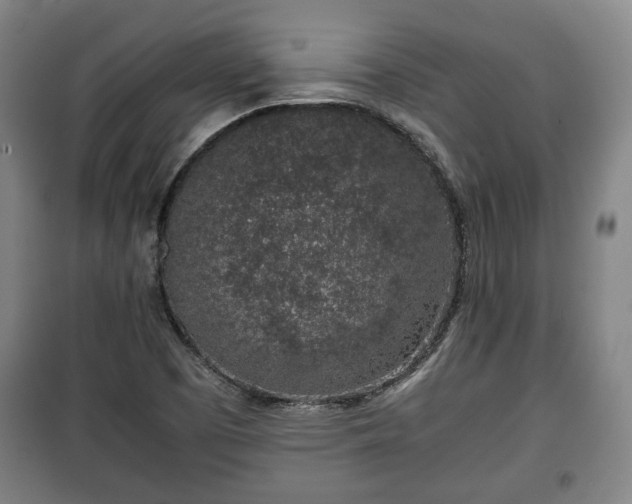 X0000100191457200806061247