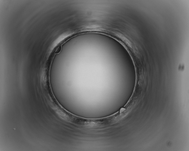 X0000100191458200806061247
