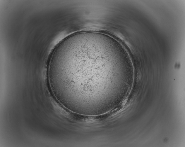 X0000100191459200806061247